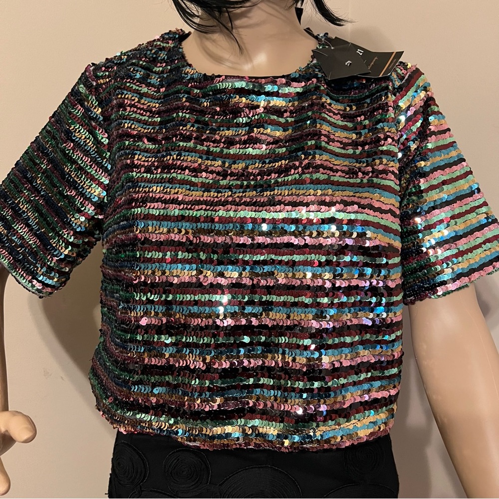 Sparkling multicolor, sequin top/crop top